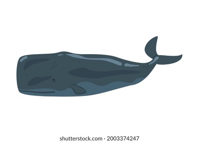 Sperm Whale Sea Arctic Animal, Wild Polar Marine Mammal Cartoon Vector Illustration