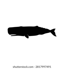 Sperm Whale silhouette icon vector flat design.