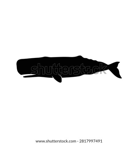 Sperm Whale silhouette icon vector flat design.
