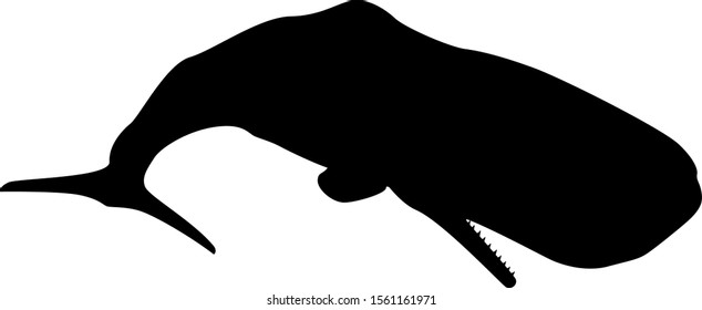 Sperm Whale Silhouette Vector Graphic