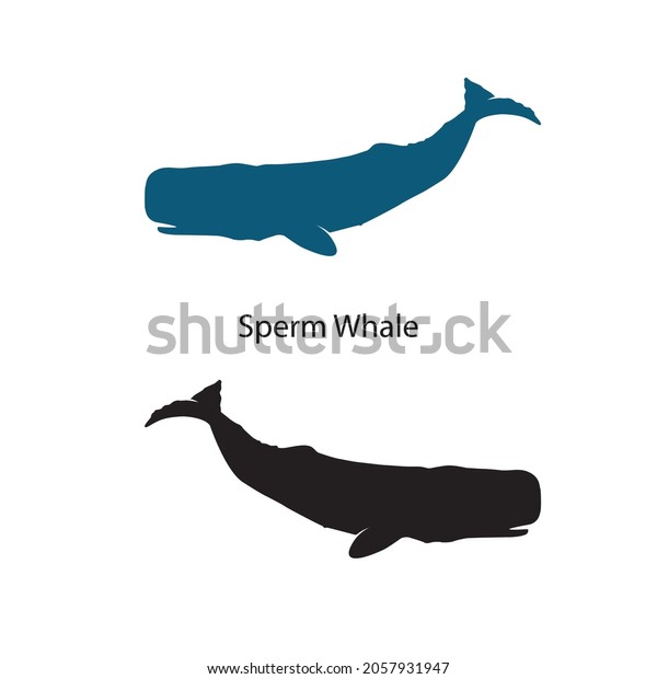 Sperm Whale Silhouette Vector Illustrations Isolated Vector có sẵn