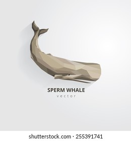 sperm whale vector illustration in modern low polygon style