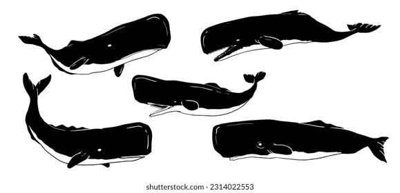 
sperm whale vector illustration with various poses and shapes in one bundle