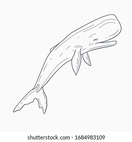 Sperm whale vector line art. Cartoon sperm whale illustration.