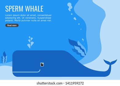 Sperm Whale Vector suitable for Whale Themed article, news or info-graphic for website and paper