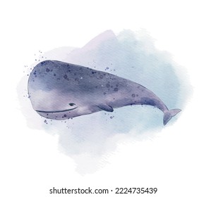 Sperm whale watercolor illustration with isolated background