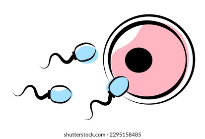 

Espermatozoa y huevo sobre fondo blanco. Fertilización