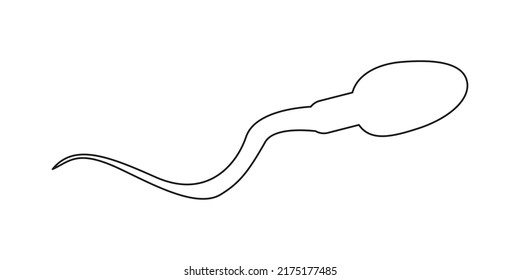 Icono de espermatozoa. Celda de esperma humana con estilo de contorno. Fertilidad masculina, prueba de semen, concepto de análisis de espermatozoides. Ilustración gráfica vectorial.