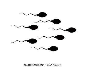 
Spermatozoa quickly move to the target and overtake each other