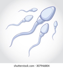spermatozoa run to an ovum. Vector picture isolate on white background