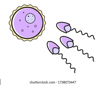 Spermatozoids with egg icon. Simple colorful illustration. Vector icon for ui and ux, poster, campaign, website or social media
