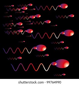 spermatozoon