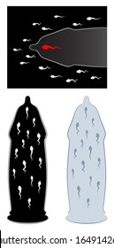 Spermatozoon in condom