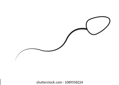Spermatozoon on white background.