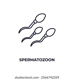 spermatozoon outline icon. Linear vector from health and medical concept. Thin line spermatozoon icon isolated on white background
