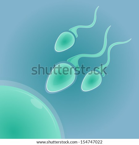 Sperm&fecundation concept