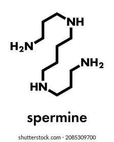 Spermine polyamine molecule. Skeletal formula.