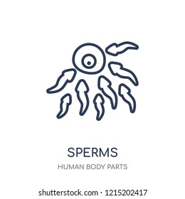 Sperms icon. Sperms linear symbol design from Human Body Parts collection.