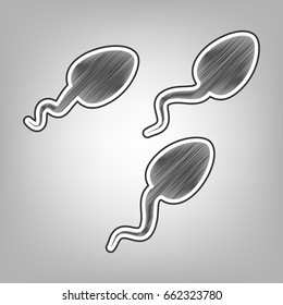 Sperms sign illustration. Vector. Pencil sketch imitation. Dark gray scribble icon with dark gray outer contour at gray background.