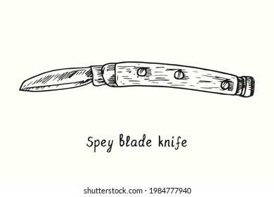 Spey tipo cuchillo. Ilustración del esquema de dibujo en blanco y negro con tinta
