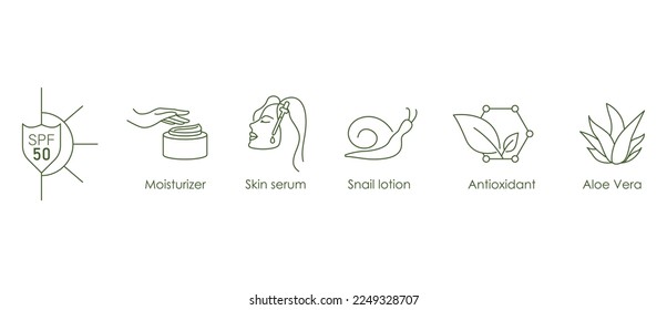 spf 50, moisturizer, skin serum, snail lotion, anti oxidant, aloe vera icon set vector illustration 