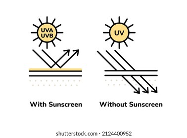 SPF sunscreen skin protection concept. How UV rays effect on skin with or without sunscreen cream lotion. Linear style vector illustration scheme of skin covered with sunblock cream.