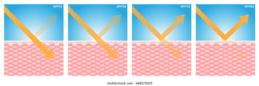 spf , uv protection vector , 4 type of spf . ultraviolet