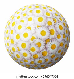  sphere from daisies isolated on a white background, vector