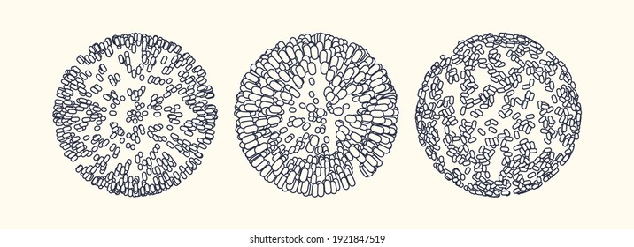 Sphere formed by many ellips. 3d vector illustration for science, education or medicine. 