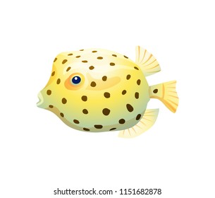 Spherical boxfish isolated on white background vector illustration, round marine inhabitant with bright body and set of spots, toxic underwater animal