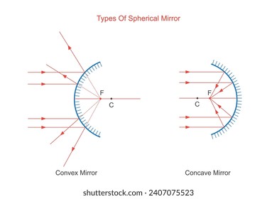 Spherical mirror.  Curved reflective surface, convex mirror and concave mirror. Physics illustration.