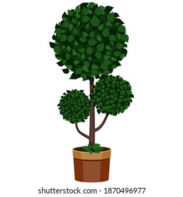 Árbol topiario esférico en una olla de arcilla. Vector aislado.