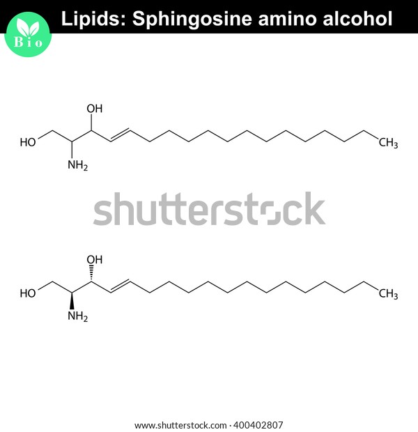 Sphingosine Alcohol Chemical Structure Molecular Structures Stock Vector Royalty Free 5003