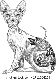 Sphinx bald cat with roses flowers black and white sketch decorative stylized tattoo vector illustration