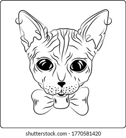 Sphinx with butterfly in vector line. Isolated on a white background. The head of a bald cat with black eyes in illustration. Fashionable Egyptian cat with earrings. Use for logo and interior