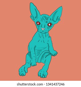 Sphinx cat face. Swag fashion cat. Acid color cat  - Vector