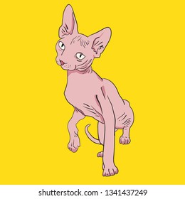 Sphinx cat face. Swag fashion cat. Acid color cat  - Vector
