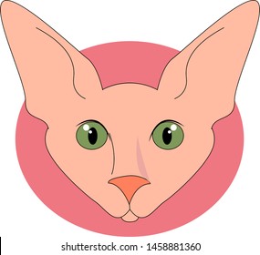 Sphinx cat with green eyes, illustration, vector on white background.