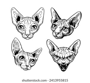 Sphinx cat, hairless cat, oriental, vector black and white illustration, elements for print design for t-shirt, tattoo