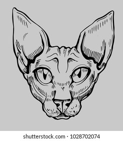 Sphinx cat. Hand drawn converted to vector