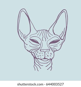 sphinx cat hand drawn doodle vector illustration isolated on a blue color background
