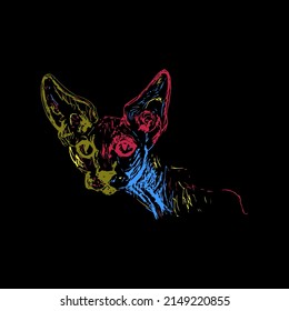 A Sphinx cat, hand-drawn. Sketch. Digitized vector illustration. A colored cat on a black background. Great idea for a print