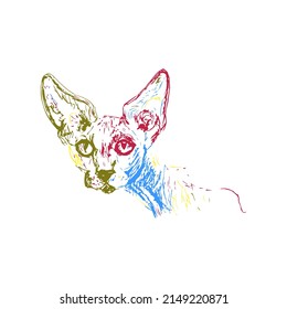 A Sphinx cat, hand-drawn. Sketch. Digitized vector illustration. Colored cat, white background.