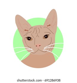 Sphinx cat Icon, logo, symbol.