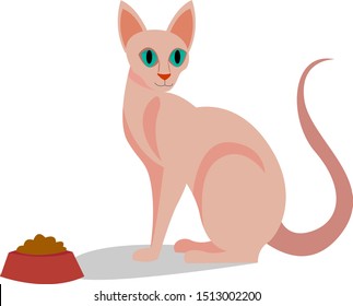 Sphinx cat, illustration, vector on white background.