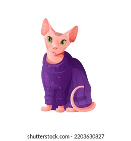 Sphinx cat in knitted purple jersey