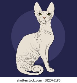 Sphinx cat on a blue background