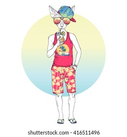 sphinx cat on vacation with cocktail, furry art illustration, fashion animals, hipster animals, summer illustration