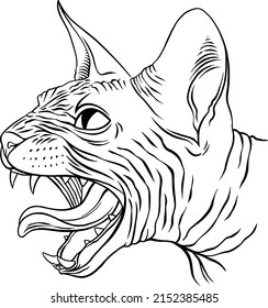 Sphinx cat portrait. Vector illustration