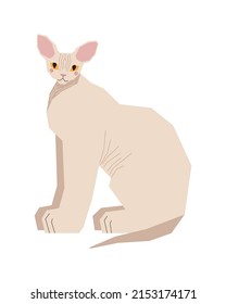 The sphinx cat sits sideways. Cute kitten with big ears and yellow eyes. A disproportionate pet with a larger body and a small head. Vector illustration in a flat style.